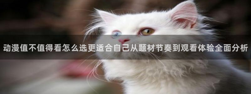 玄幻动漫推荐：动漫值不值得看怎么选更适合自己从题材节奏到观看体验全面分析