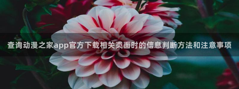 动漫作品分类:查询动漫之家app官方下载相关页面时的信息判断方法和注意事项