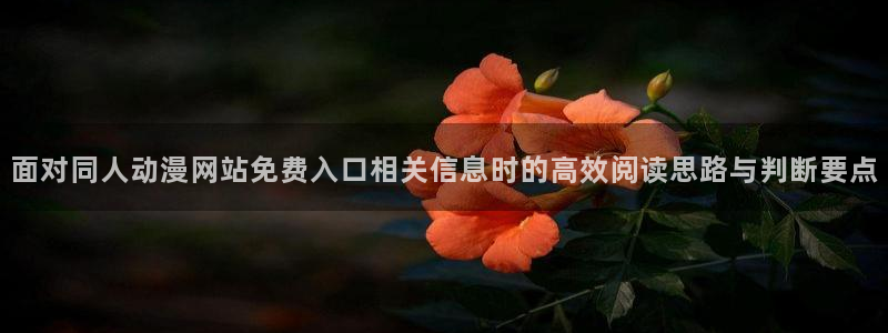 动漫大全网站:面对同人动漫网站免费入口相关信息时的高效阅读思路与判断要点