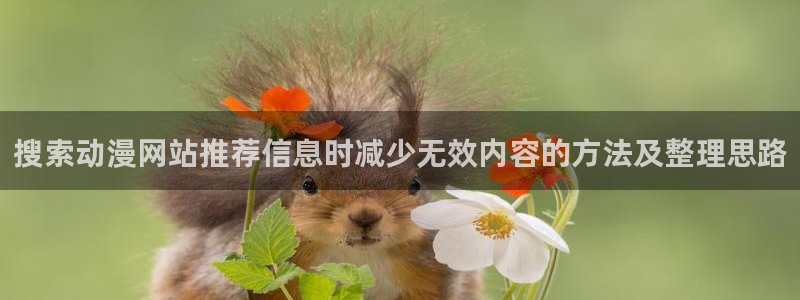 动漫网页:搜索动漫网站推荐信息时减少无效内容的方法及整理思路