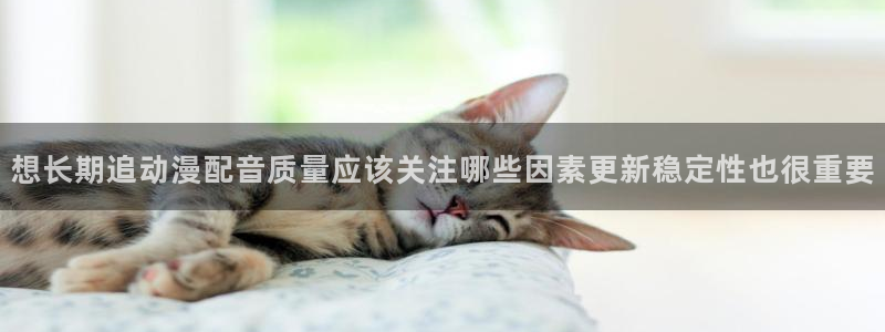 热门连载动漫:想长期追动漫配音质量应该关注哪些因素更新稳定性也很重要